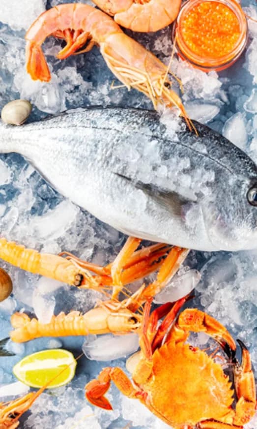 Fresh seafood presentation